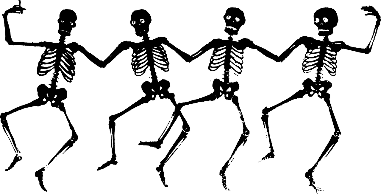 image of multiple skeletons